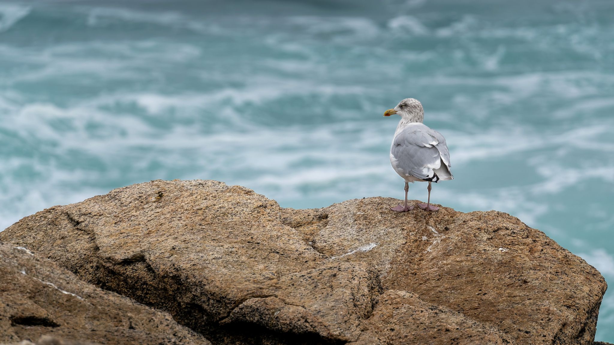 20250928 122220 Port Maria   Le Vivier, Sentier Côtier
